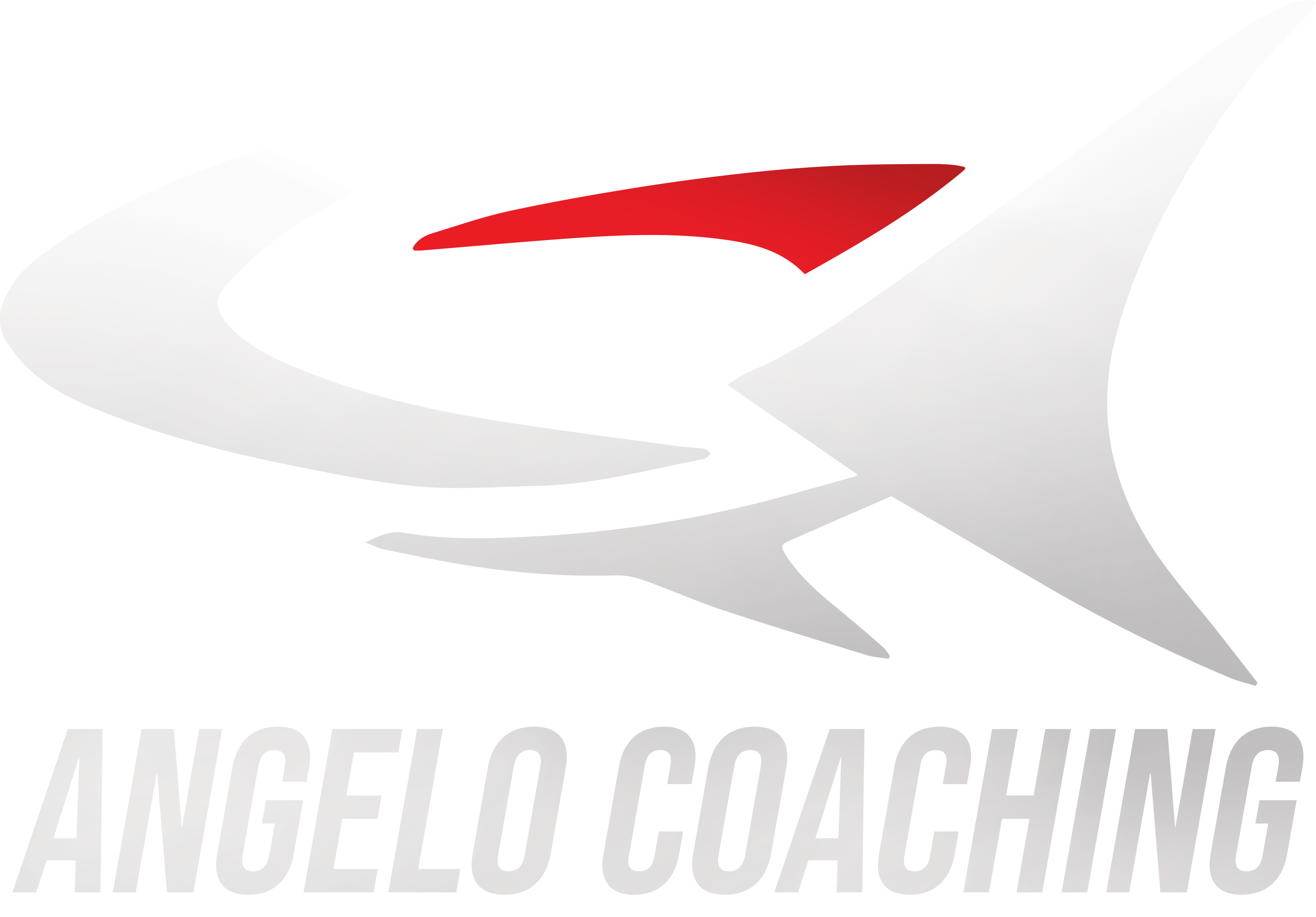 Angelo Coaching